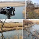 갈대습지공원 이미지