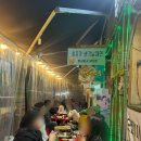 탑골공원 | 종로 야장 탑골공원 포차 후기 (냉삼겹살, 탕수육, 생선구이, 비 오는 날)