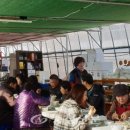 용도령영농조합 이미지