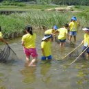 전통장수국수 이미지