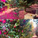 남원읍-34 이미지