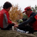 종천농장 이미지