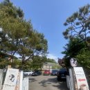 보통의우리 | 분당 율동공원 서현 먹자골목 카페 ㅣ 주택 개조 감성 공간 ㅣ가장 보통의 하루 솔직 후기