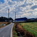 구시리축산 네이버블로그
