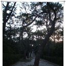 최치원 유적지 이미지