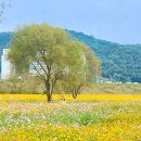 숲뜰근린공원 이미지