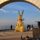 앞산강아지 이미지