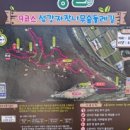 자작나무숲중간 이미지