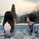 케네스레이디뉴코아