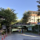 창3동 | 서울형 키즈카페 | 도봉구 창3동점(우당탕탕 숲속대탐험) 주차정보 솔직후기