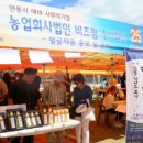 [북부] 밸리댄스 이미지