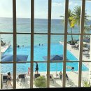 리프 | [ 괌 자유 여행 ] 리프 호텔 후기