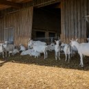 투앤티의원 이미지