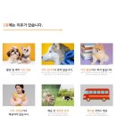 놀러오개 서산점 이미지