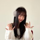 댕스라이프 이미지