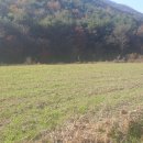 행복한흑염소농장 이미지