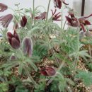 동래원예고등학교 이미지