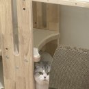 오묘화당 이미지