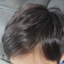 세정태권도 | 비건 키즈샴푸 추천, 플리브미 비건 키즈 샴푸 후기! 땀 많은 아이 정수리 냄새까지 산뜻하게