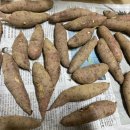 팔봉농장 이미지