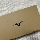 230005 | [러닝화 추천] 헬스 가성비 런닝화 미즈노 맥시마이저 25 후기