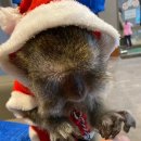 (주)마스코 이미지