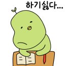 님카페