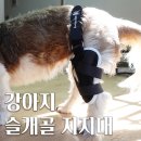은해보조기 이미지