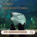 (주)웅진플레이도시 | 부천 아이랑 플레이아쿠아리움 꿀팁 인생샷 솔직후기 입장료 주차