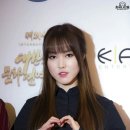 유주라이크 Daum카페