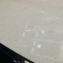 카멜레온 디테일 이미지