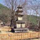 지보사