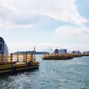 황금빛노을바다 낚시터 이미지