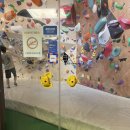 락 트레이닝 | [클라이밍] 체력과 지구력 향상하기 위한 트레이닝 <락트리클라이밍 강남점> 추천 후기