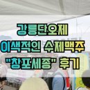 버드나무 | 강릉단오제 버드나무 브루어리 후기｜수제맥주와 타코가 맛있었던 곳