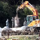 박정호농장(1농장) 이미지