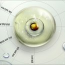 주식회사 도도인터내셔널