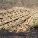 유태농장 이미지