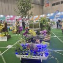 중앙원예 이미지