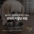 심동물병원 이미지