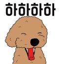 도그매니져 네이버블로그