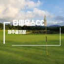 타미우스골프연습장 이미지