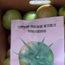 양자씨네농장