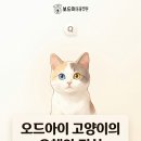 왜관동물병원 이미지