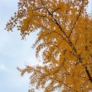 산성회