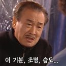 김기덕참치 이미지