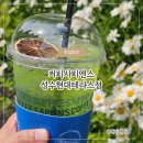 커피사피엔스 성수현대테라스점 | 커피사피엔스 성수현대테라스점에서 만난 박카사에이드