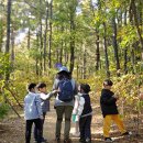 마송중앙초교 이미지