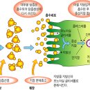 201112163 서정민 Chap. 3 지질 강의 요약 이미지