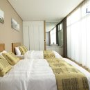 (주)하이원추추파크 이미지